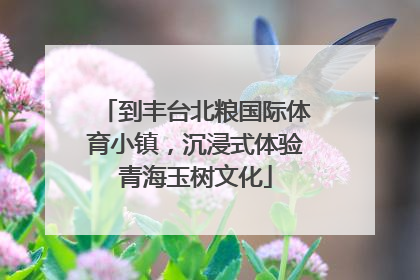 到丰台北粮国际体育小镇，沉浸式体验青海玉树文化