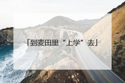 到麦田里“上学”去