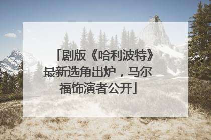剧版《哈利波特》最新选角出炉，马尔福饰演者公开