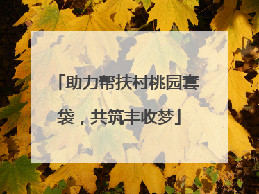 助力帮扶村桃园套袋，共筑丰收梦