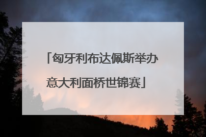 匈牙利布达佩斯举办意大利面桥世锦赛