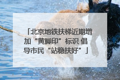 北京地铁扶梯近期增加“黄脚印”标识 倡导市民“站稳扶好”