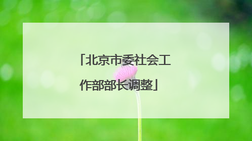 北京市委社会工作部部长调整