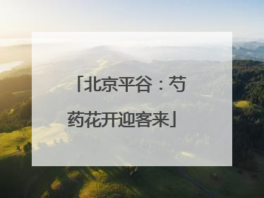 北京平谷：芍药花开迎客来