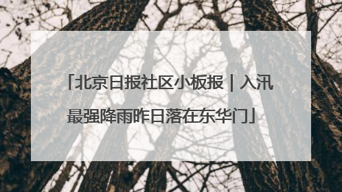 北京日报社区小板报｜入汛最强降雨昨日落在东华门