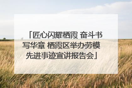 匠心闪耀栖霞 奋斗书写华章 栖霞区举办劳模先进事迹宣讲报告会