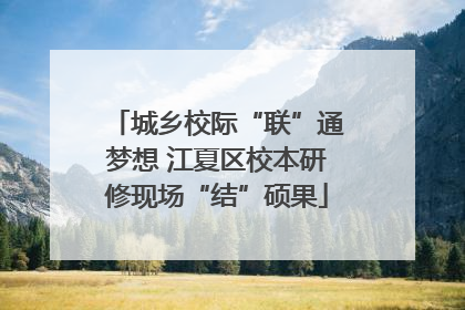 城乡校际“联”通梦想 江夏区校本研修现场“结”硕果