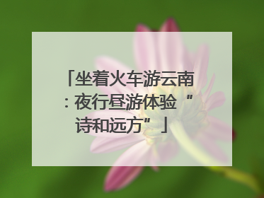 坐着火车游云南：夜行昼游体验“诗和远方”