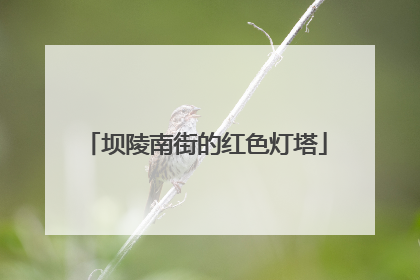 坝陵南街的红色灯塔