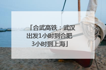 合武高铁：武汉出发1小时到合肥3小时到上海