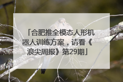 合肥推全模态人形机器人训练方案，请看《浪尖周报》第29期