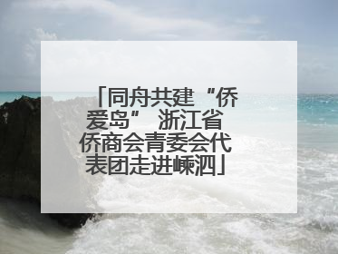 同舟共建“侨爱岛” 浙江省侨商会青委会代表团走进嵊泗