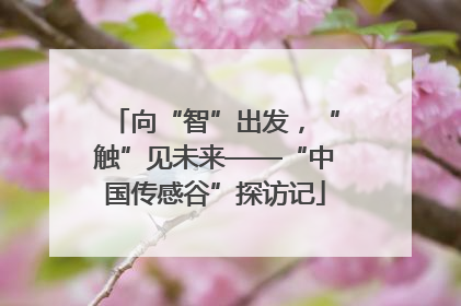 向“智”出发，“触”见未来——“中国传感谷”探访记