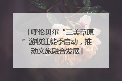 呼伦贝尔“三美草原”游牧迁徙季启动，推动文旅融合发展