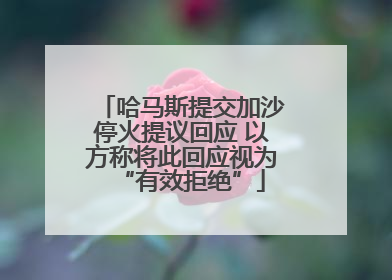 哈马斯提交加沙停火提议回应 以方称将此回应视为“有效拒绝”