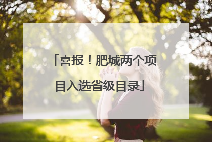 喜报！肥城两个项目入选省级目录