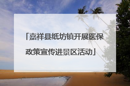 嘉祥县纸坊镇开展医保政策宣传进景区活动