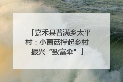 嘉禾县普满乡太平村：小菌菇撑起乡村振兴“致富伞”