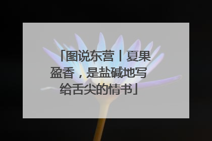 图说东营丨夏果盈香，是盐碱地写给舌尖的情书