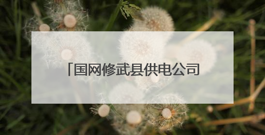 国网修武县供电公司：持续提升仓储能力 筑牢防汛安全屏障