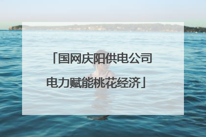 国网庆阳供电公司电力赋能桃花经济