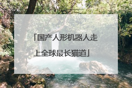 国产人形机器人走上全球最长猫道