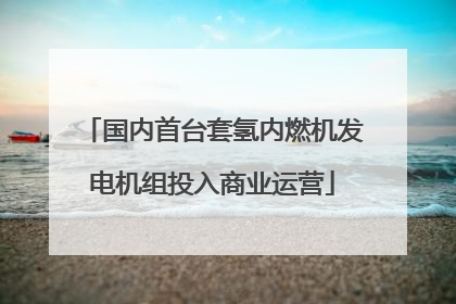 国内首台套氢内燃机发电机组投入商业运营
