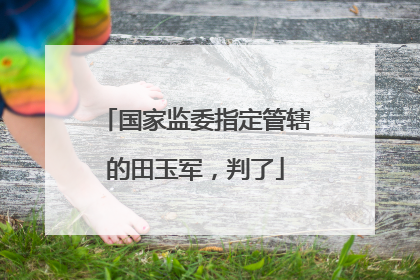 国家监委指定管辖的田玉军，判了