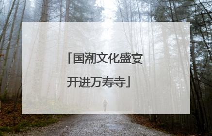国潮文化盛宴开进万寿寺