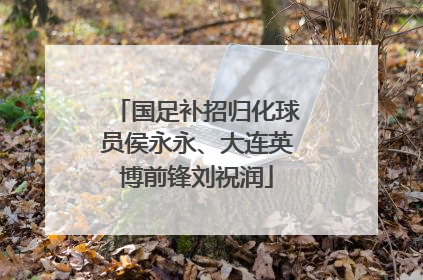 国足补招归化球员侯永永、大连英博前锋刘祝润