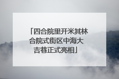 四合院里开米其林 合院式街区中海大吉巷正式亮相