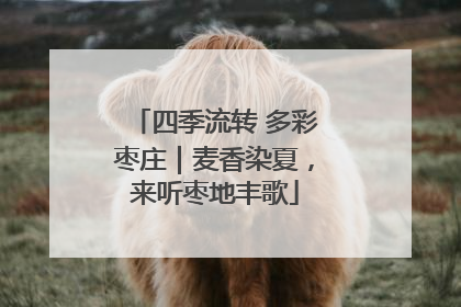 四季流转 多彩枣庄｜麦香染夏，来听枣地丰歌