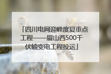四川电网迎峰度夏重点工程——眉山西500千伏输变电工程投运
