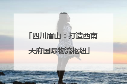 四川眉山：打造西南天府国际物流枢纽