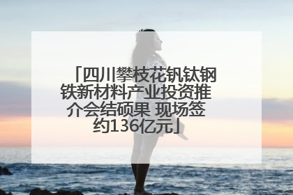 四川攀枝花钒钛钢铁新材料产业投资推介会结硕果 现场签约136亿元