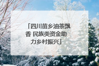 四川苗乡油茶飘香 民族类资金助力乡村振兴
