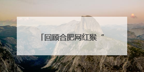 回顾合肥网红猴“大壮”最后的时光