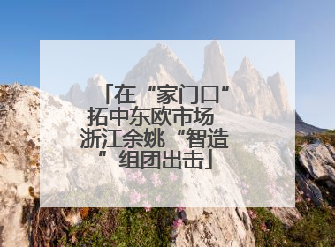 在“家门口”拓中东欧市场 浙江余姚“智造”组团出击