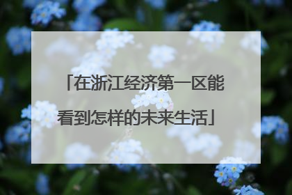 在浙江经济第一区能看到怎样的未来生活