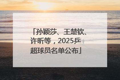 孙颖莎、王楚钦、许昕等，2025乒超球员名单公布