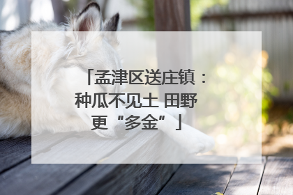 孟津区送庄镇：种瓜不见土 田野更“多金”