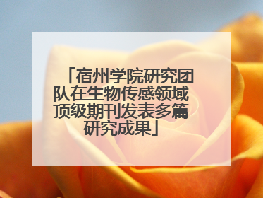宿州学院研究团队在生物传感领域顶级期刊发表多篇研究成果