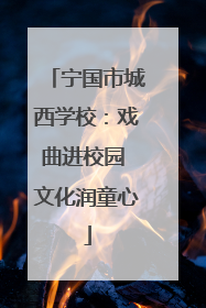 宁国市城西学校：戏曲进校园 文化润童心