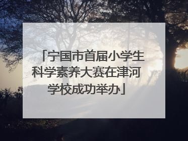 宁国市首届小学生科学素养大赛在津河学校成功举办