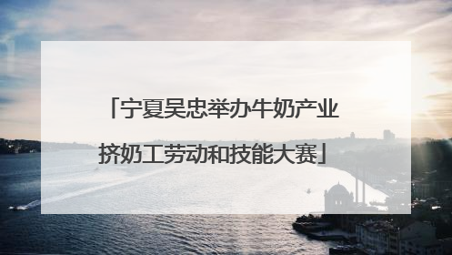 宁夏吴忠举办牛奶产业挤奶工劳动和技能大赛