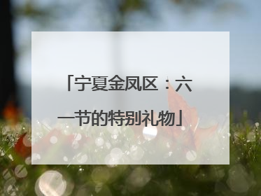 宁夏金凤区：六一节的特别礼物