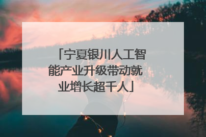 宁夏银川人工智能产业升级带动就业增长超千人