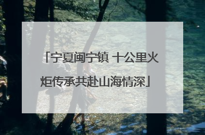 宁夏闽宁镇 十公里火炬传承共赴山海情深