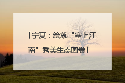 宁夏：绘就“塞上江南”秀美生态画卷
