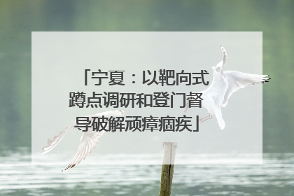 宁夏：以靶向式蹲点调研和登门督导破解顽瘴痼疾